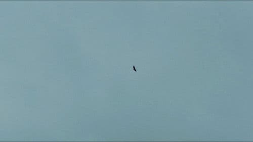 Loin d'Al Andalus Bild 2