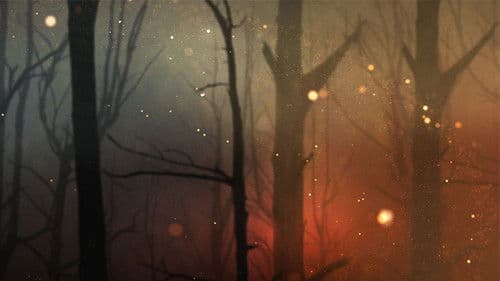 Aftermath: Beyond Black Saturday Bild 2