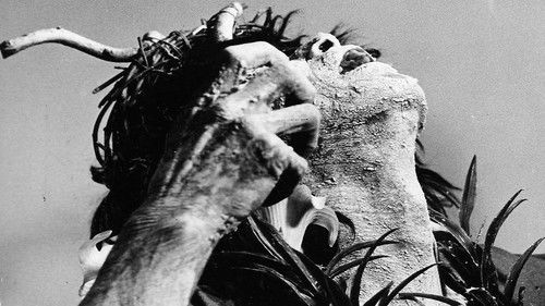 Ｏ氏の肖像 Bild 3