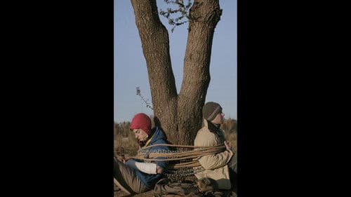 El crit sord dels arbres Bild 1