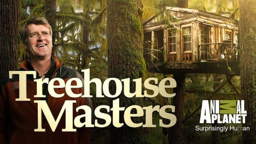 Die Baumhaus-Profis Bild 6