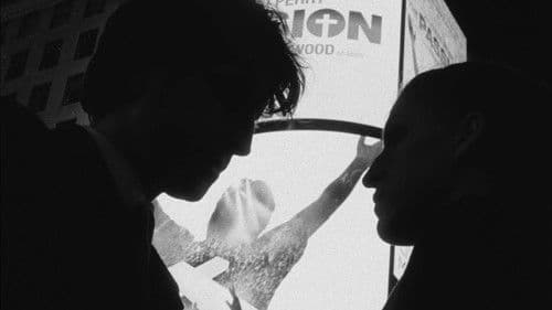 A Window on the World Bild 1