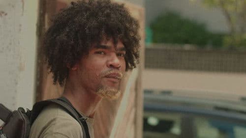 Andorinha Só Não Faz Verão Bild 3