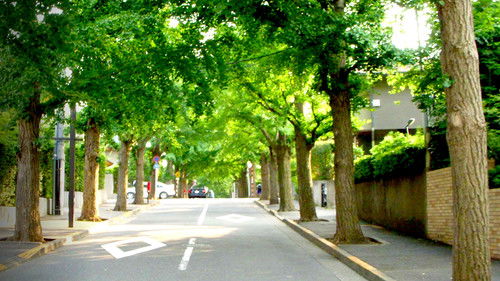 Zeroing In: Carbon Neutral 2050 Bild 2