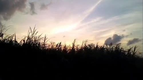 You're Reminded As You Fall Asleep Bild 2