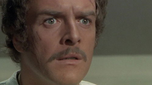 The Night of the Devils Bild 5