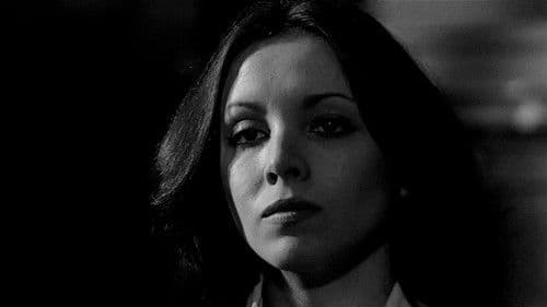 La oscura historia de la prima Montse Bild 1