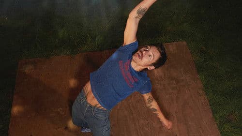 Harry Styles. One Night in Manchester. Bild 3