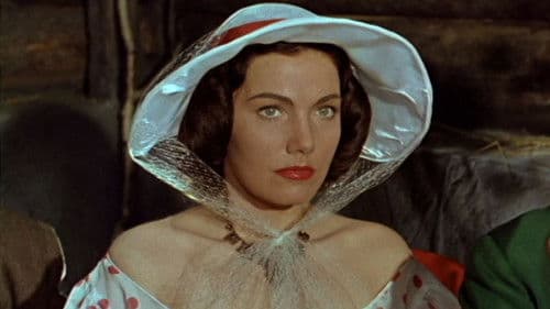 Und ewig singen die Wälder Bild 5