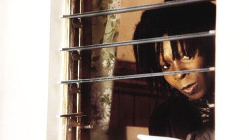 Die diebische Elster Bild 3