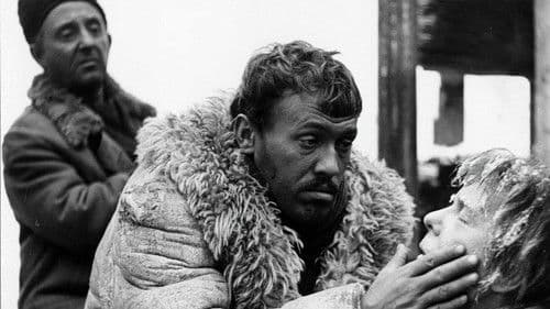 Słońce wschodzi raz na dzień Bild 6