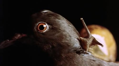 Im Augenblick der Angst Bild 1