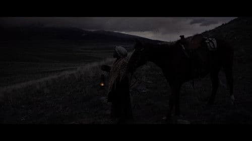 Ride By Night Bild 1