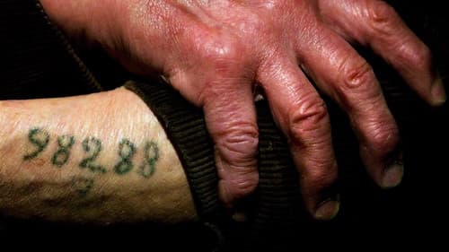 Night Will Fall - Hitchcocks Lehrfilm Bild 2