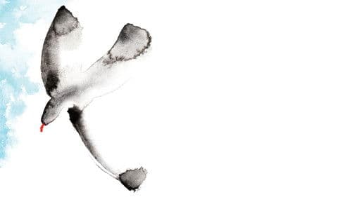 The Seagull - Eine unerhörte Liebe Bild 8