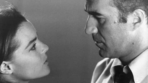 Schornstein Nr. 4 Bild 5