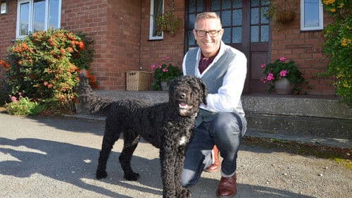 Hunde außer Kontrolle Bild 2