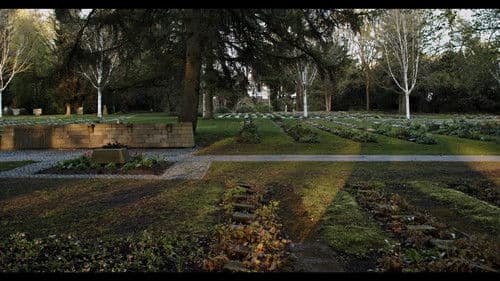 Wir dürfen es nicht vergessen Bild 5