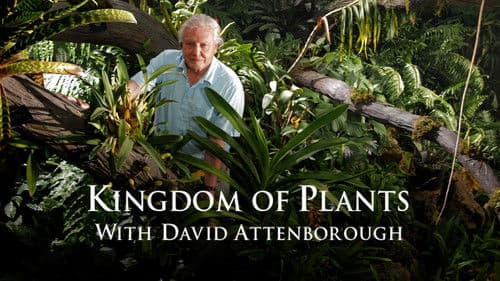 Im Reich Der Pflanzen - mit David Attenborough Bild 3