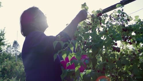 Mina – Der Preis der Freiheit Bild 2