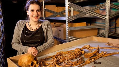 The Viking Sagas Bild 1