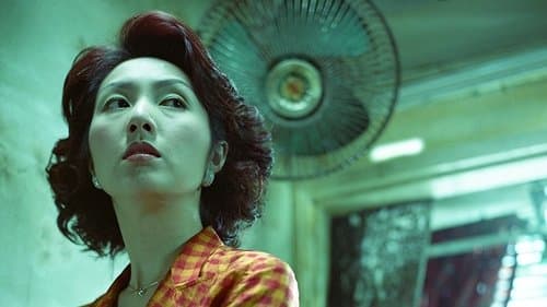 Dumplings - Delikate Versuchung Bild 1