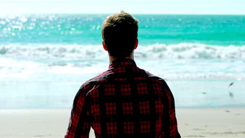 Everything Is Free Bild 6