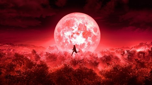 बुलबुल Bild 2