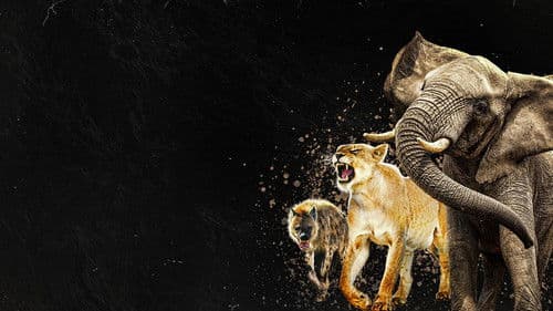 Queens – Königinnen des Tierreichs Bild 3