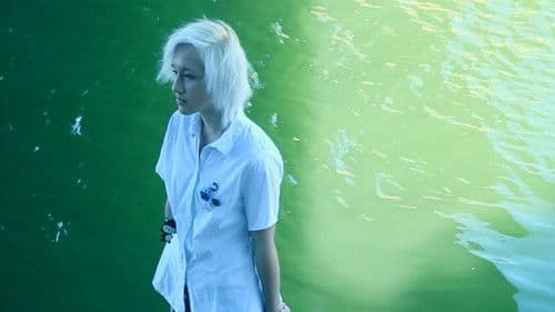 Carapaces Fragiles Bild 1