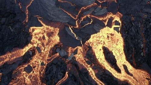 Planet Erde - Die Macht des Lebens Bild 2