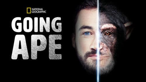 Going Ape Bild 5