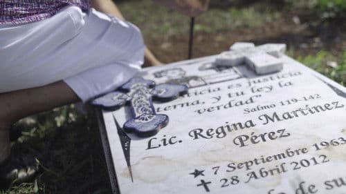 Projet Cartels : les multinationales de la drogue Bild 1