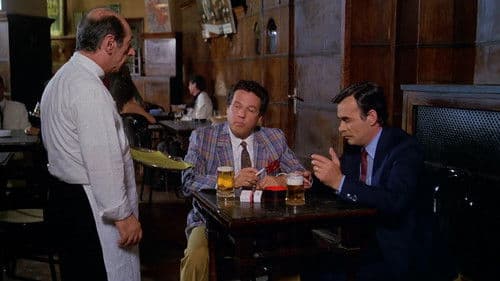 È arrivato mio fratello Bild 5