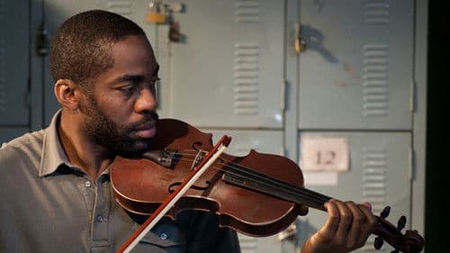 Das Orchester Bild 4