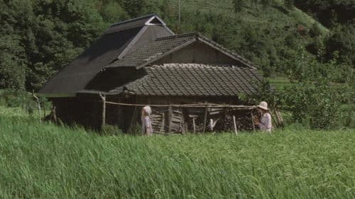 Sandakan Haus Nr. 8 Bild 4