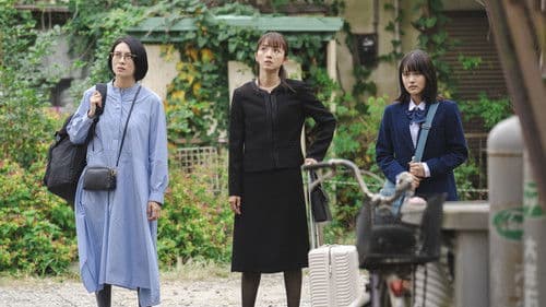 兄を持ち運べるサイズに Bild 4