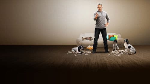 Der Hundeflüsterer Bild 1