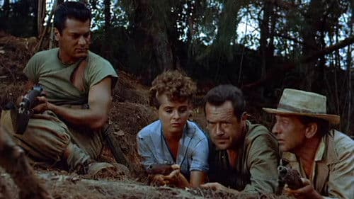 Brückenkopf X Bild 1