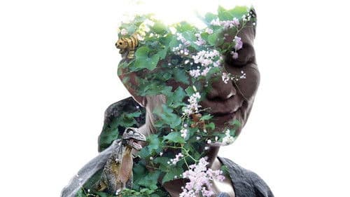 Friedhof der Könige Bild 7