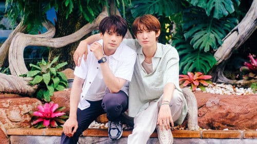 （LOVE SONG） Bild 2