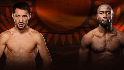 Janibek Alimkhanuly vs. Anauel Ngamissengue Bild 1