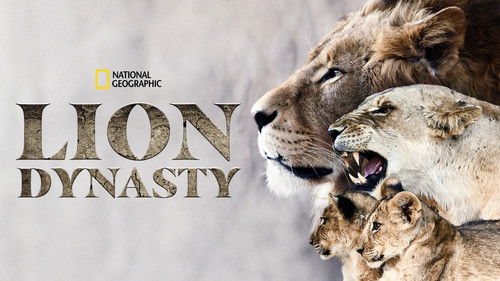 Lion Dynasty Bild 4
