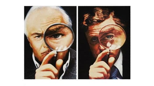 Mord mit kleinen Fehlern Bild 5