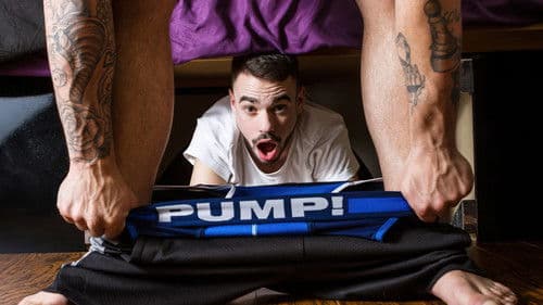 Hide and Seek Bild 1