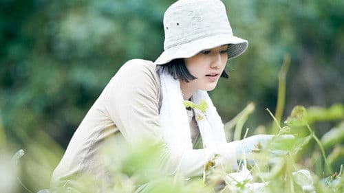 Little Forest: Summer/Autumn Bild 2