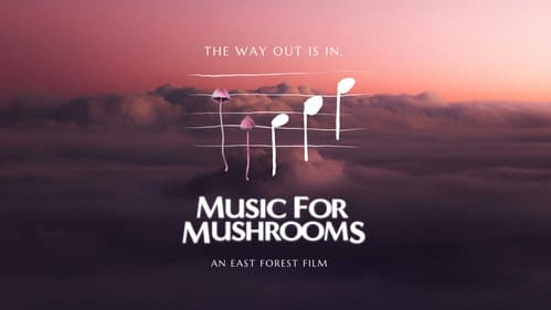 Music for Mushrooms Bild 1