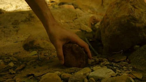 As pedras que falam Bild 2