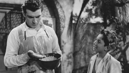 The Magic Alphabet Bild 1