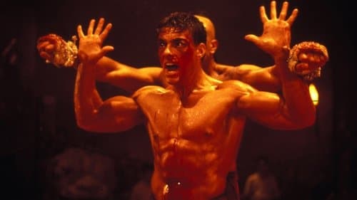 Karate Tiger 3 - Der Kickboxer Bild 3